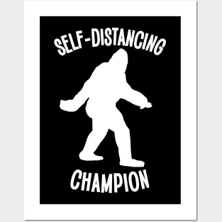 Self-Distancing Champion Posters and Art